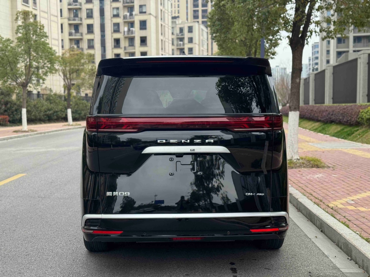 Denza D9 2024 imagen de coche #14