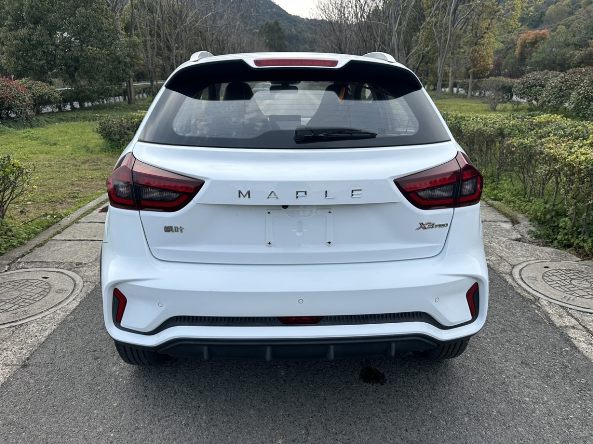 睿蓝汽车 睿蓝汽车X3 PRO 2023 汽车图片 #14