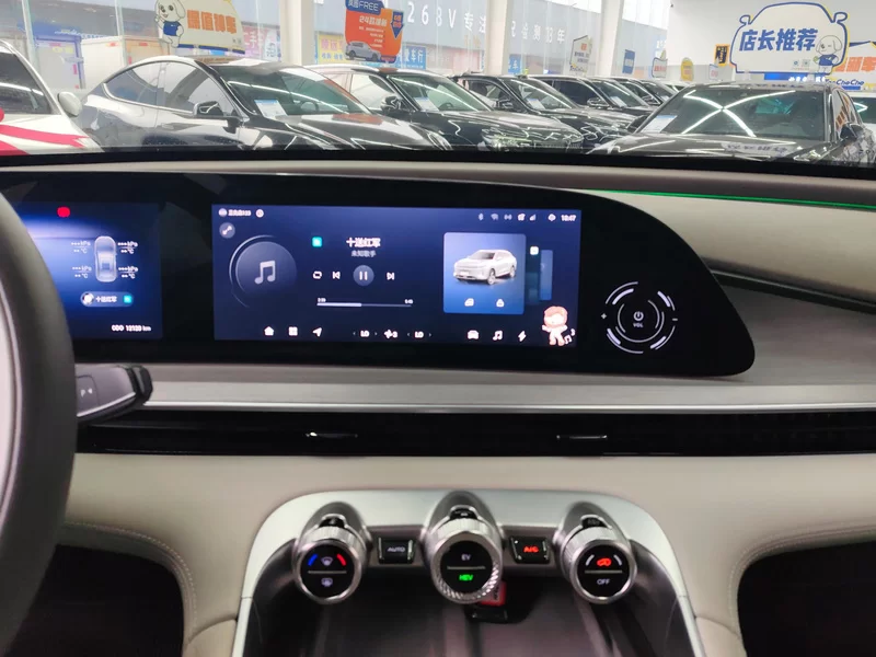 Exceed Yaoguang C-DM 2024 immagine di auto #14