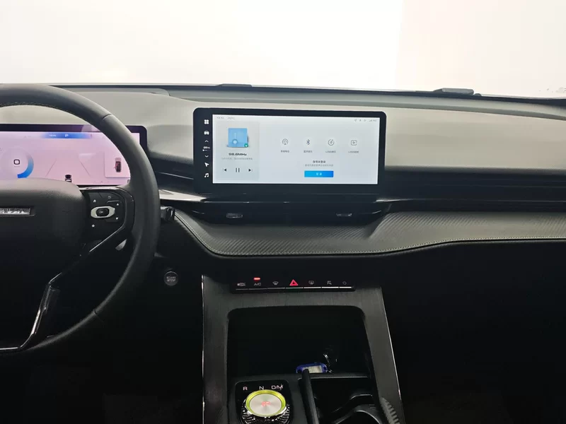 Haval H6S 2021 imagem de carro #14