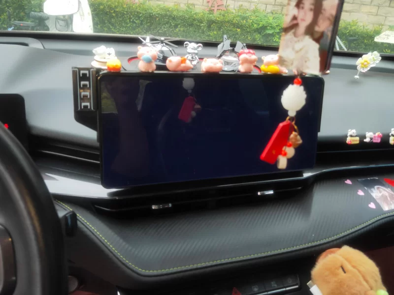 Haval H6S 2021 #14 Haval H6S 2021 car image #14