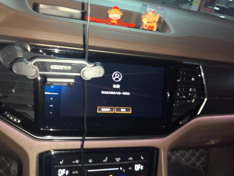 Volkswagen Viloran 2021 car image #14