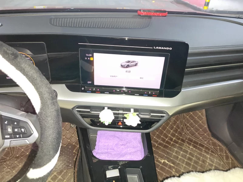 Volkswagen Lamando 2023 imagem de carro #14