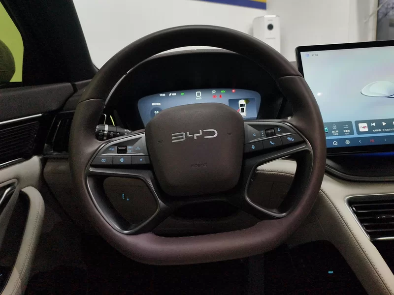 BYD Song Plus New Energy 2025 immagine di auto #14