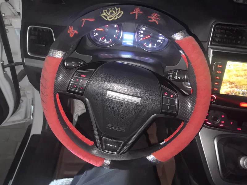 Haval M6 2020 immagine di auto #14