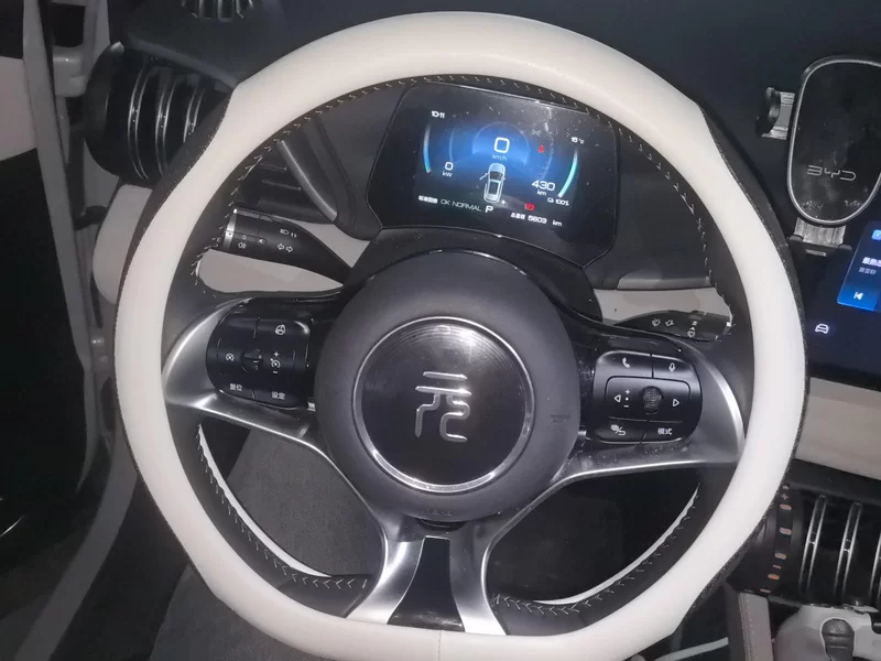BYD Yuan Plus 2023 car image #14