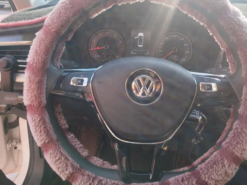 Volkswagen Lavida 2019 car image #14