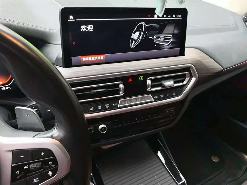 X3 2022 #14 X3 2022 immagine di auto #14