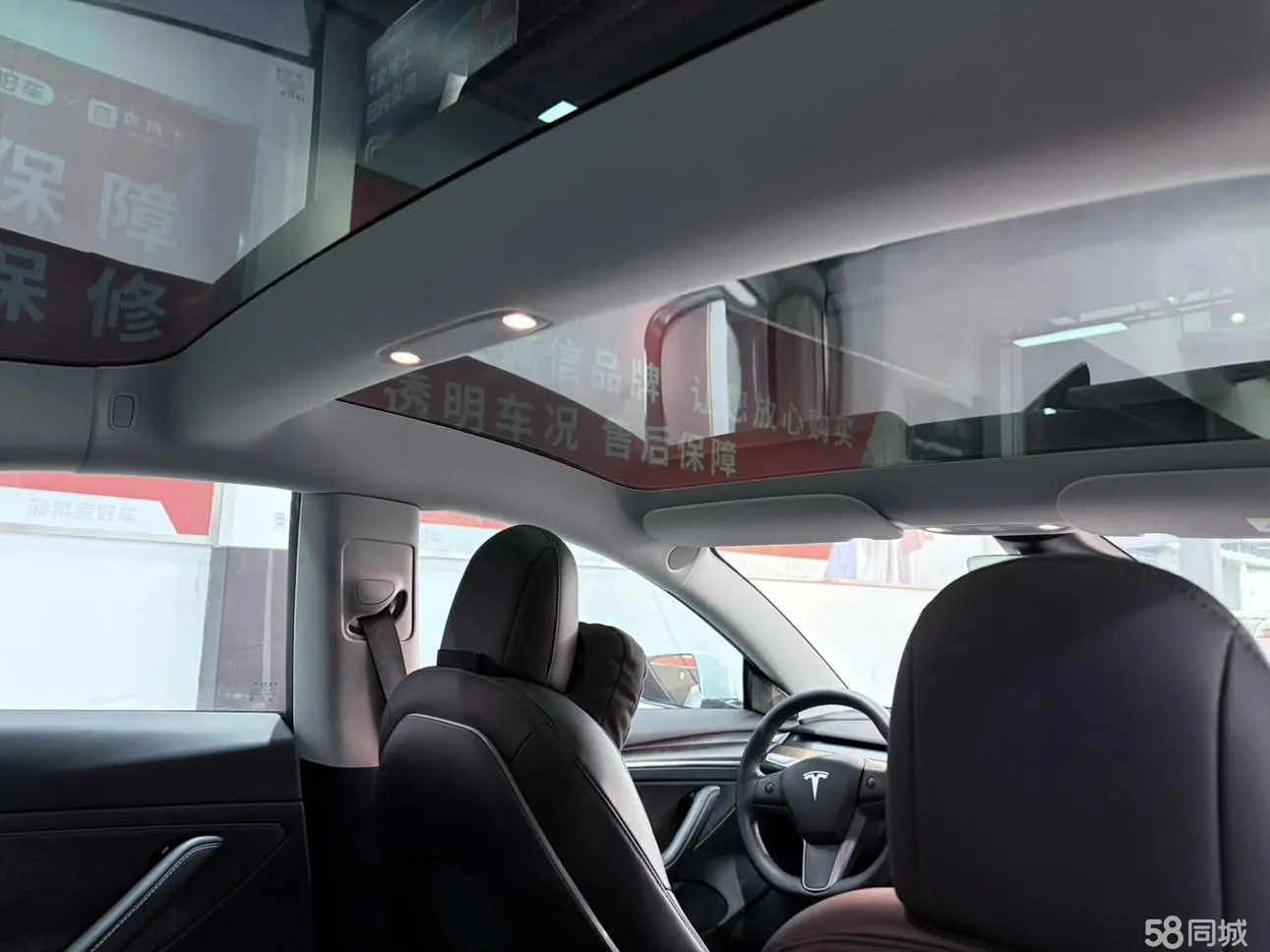 特斯拉 Model 3(进口) 2023 汽车图片 #14