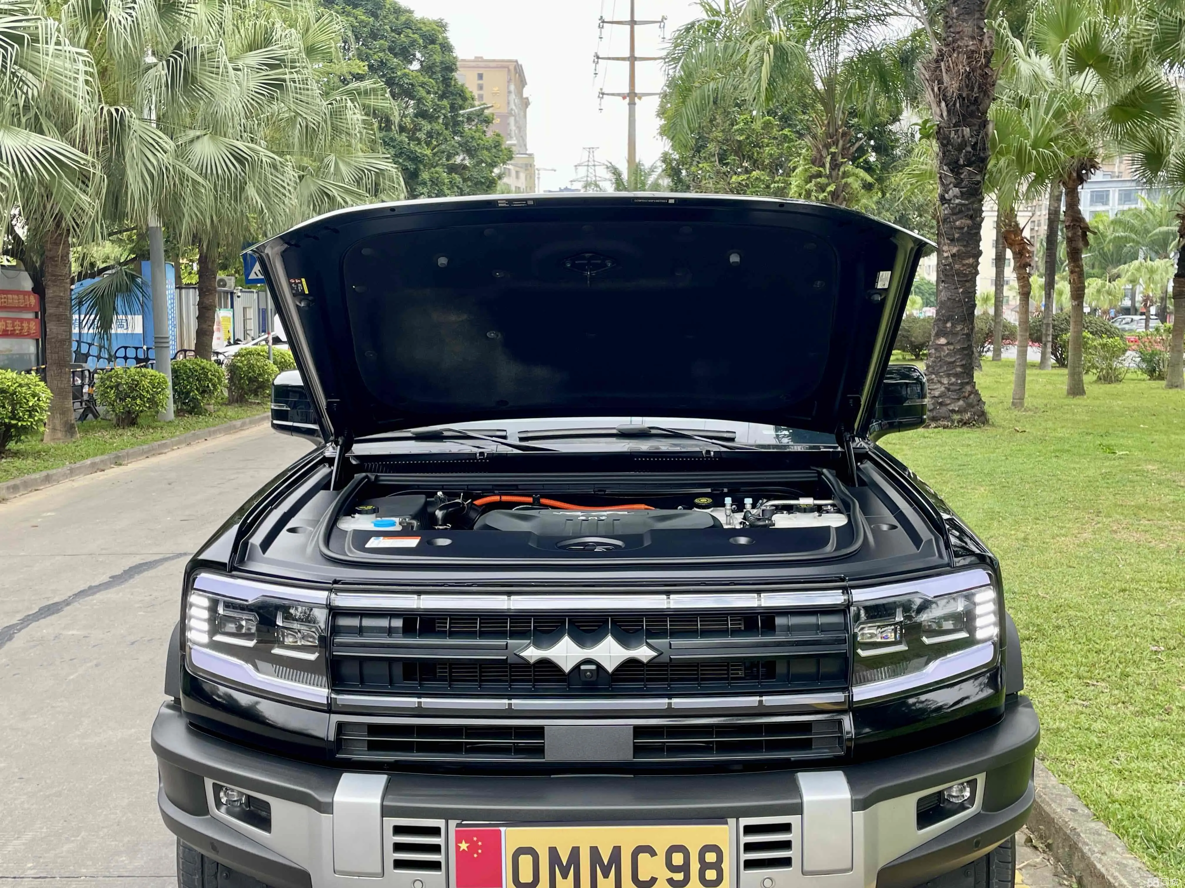 FangChengBao Leopard 5 2024 car image #14