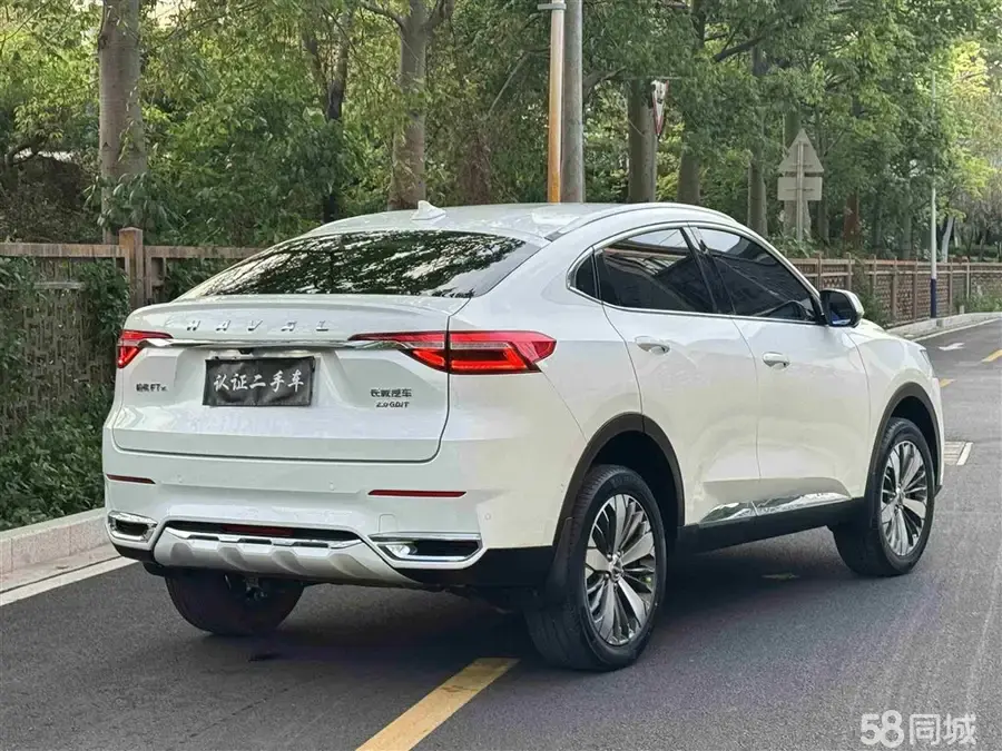 Haval F7x 2019 car image #14