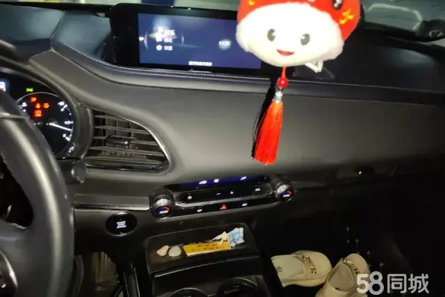 Mazda CX-30 EV 2021 imagen de coche #14