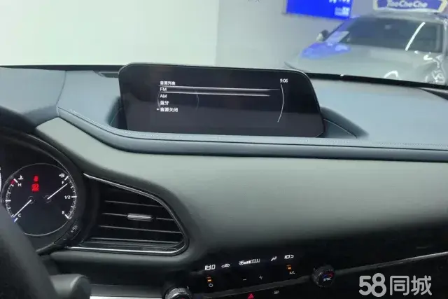 Mazda CX-30 EV 2020 imagen de coche #14