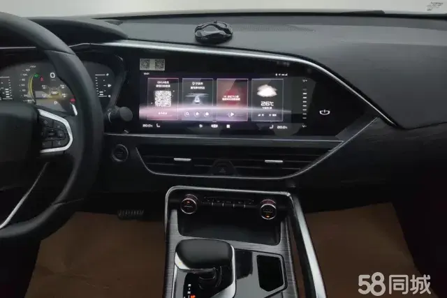 GEELY Tugella 2020 car image #14