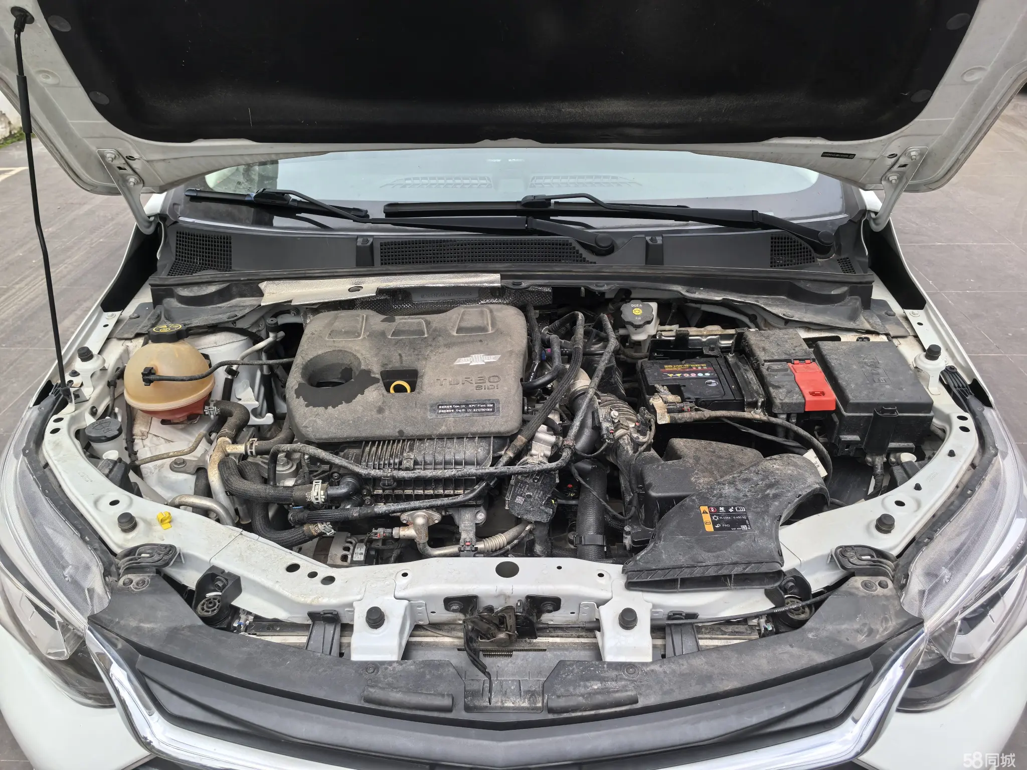 Chevrolet Cavalier 2021 #14 Chevrolet Cavalier 2021 car image #14