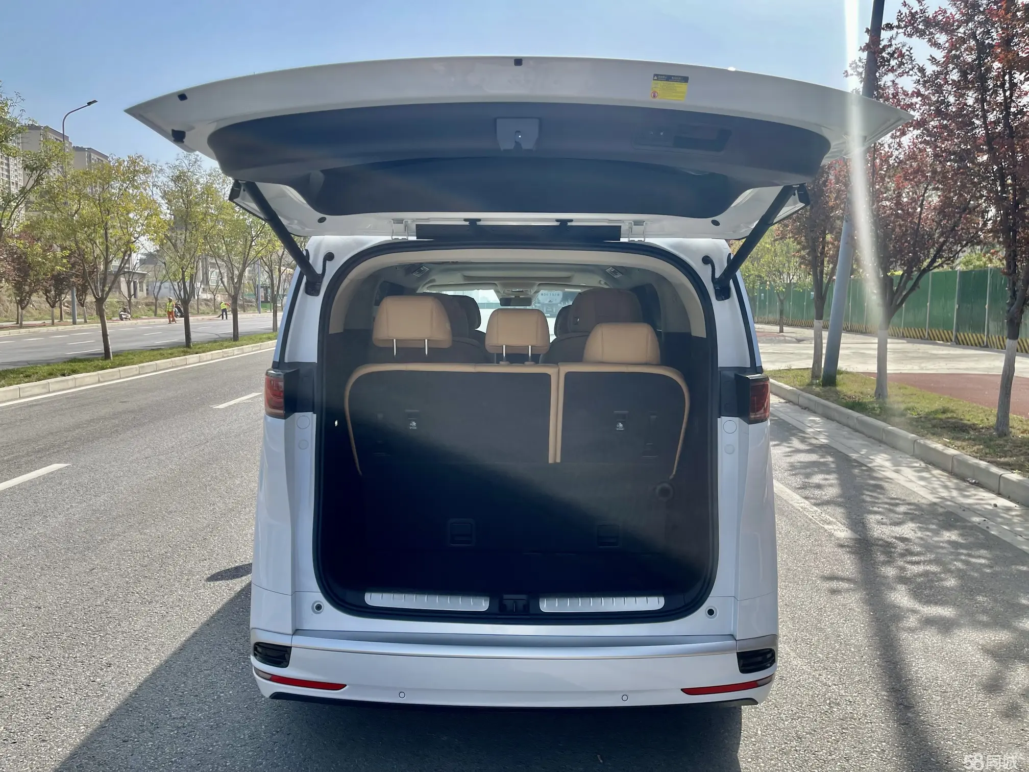 Denza D9 2024 immagine di auto #14