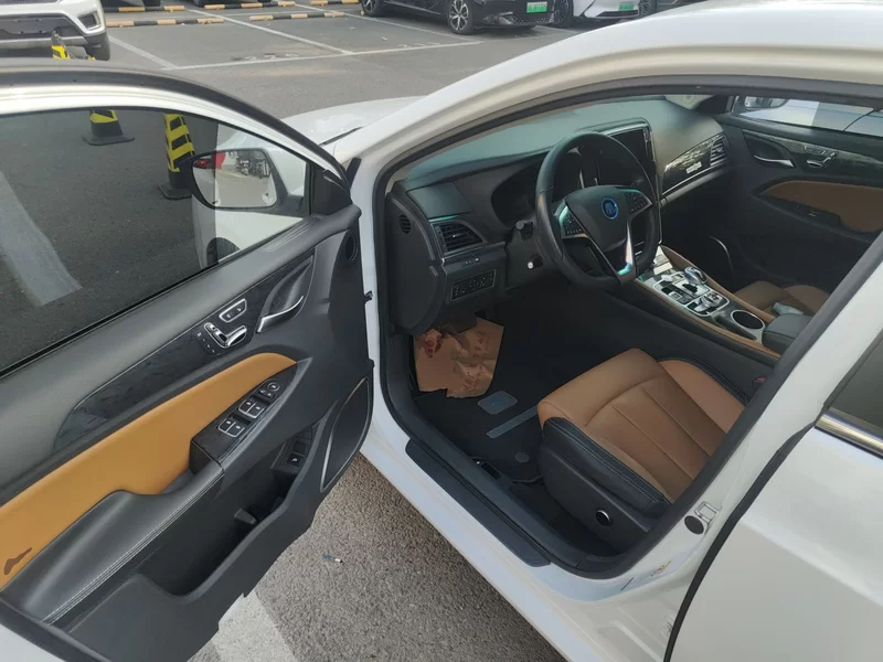 BYD Qin New Energy 2018 car image #14