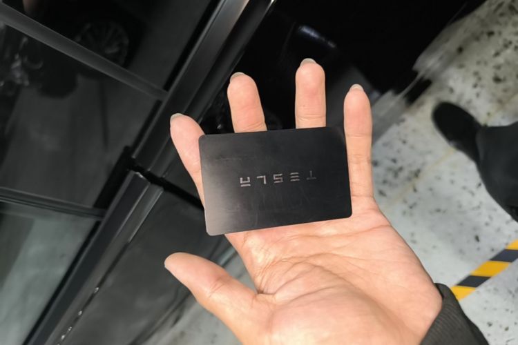 Tesla Model Y 2022 car image #14