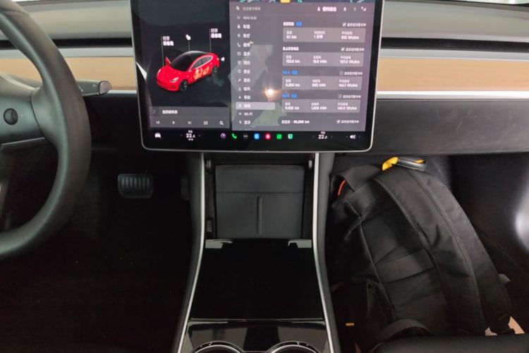 Tesla Model 3 2020 car image #13