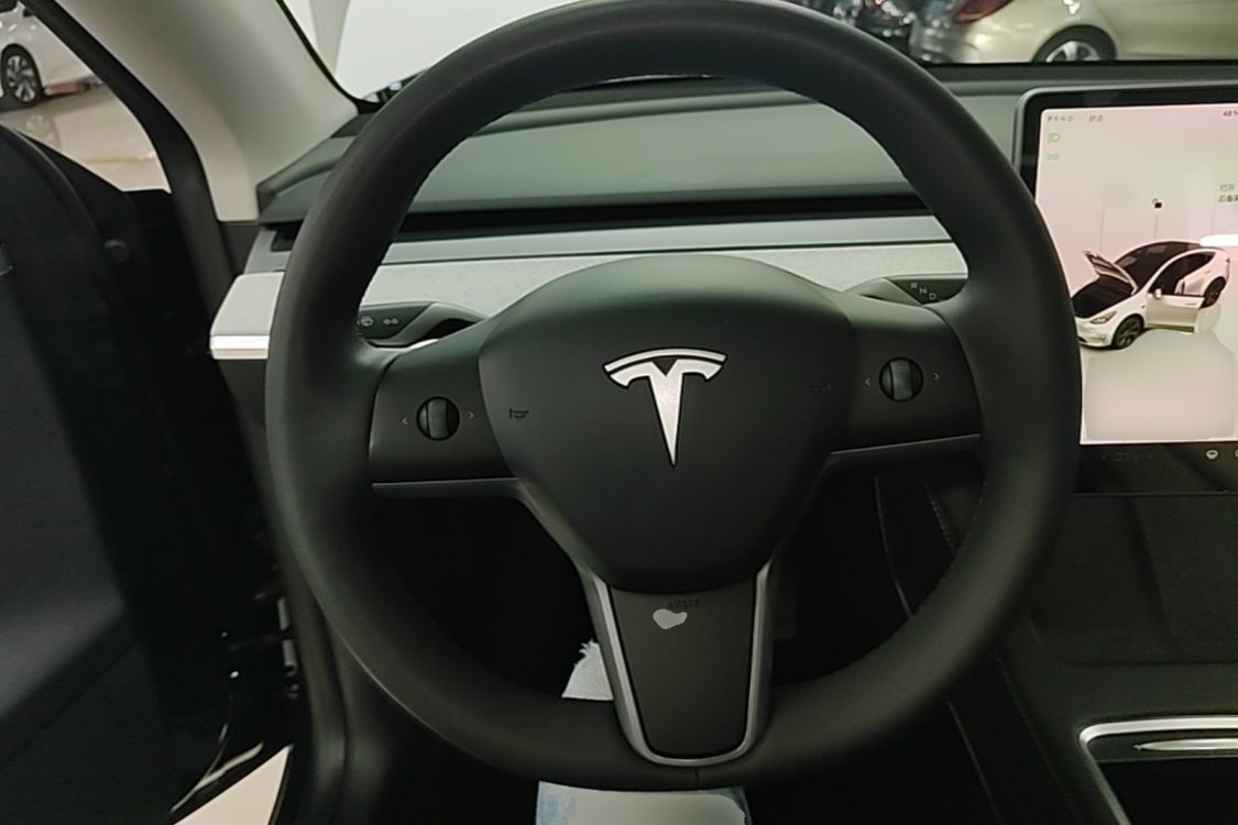 Tesla Model Y 2024 car image #11