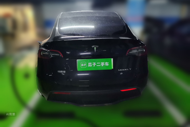 Tesla Model Y 2023 car image #6