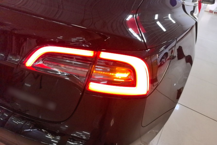 Tesla Model 3 2020 #8 Tesla Model 3 2020 car image #8