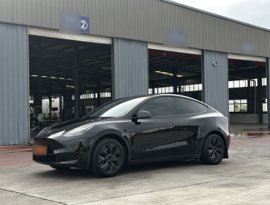 Tesla Model Y 2024 car image 