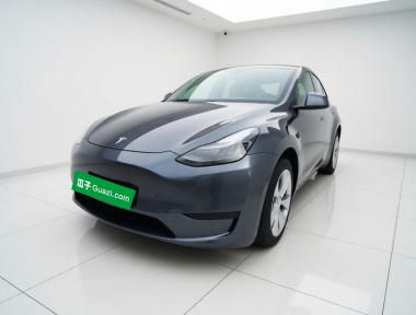 Tesla Model Y 2022 Tesla Model Y 2022 car image