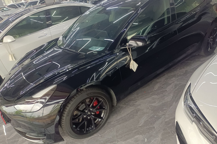 Tesla Model 3 2021 #2 Tesla Model 3 2021 car image #2