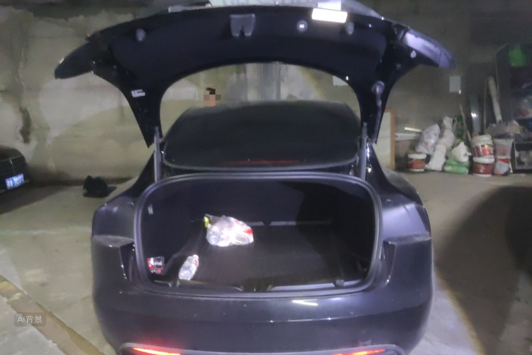 Tesla Model 3 2023 car image #21