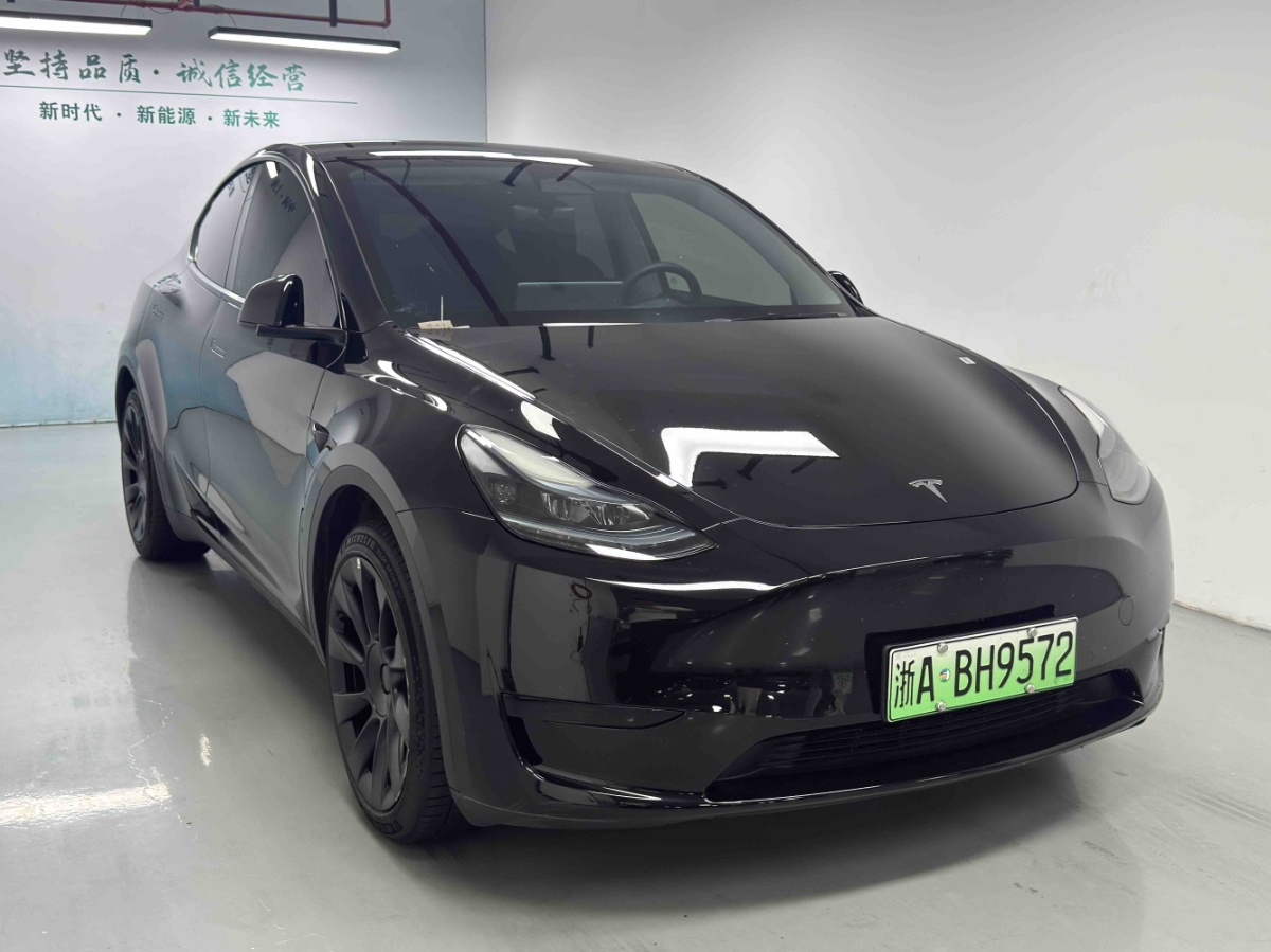 Tesla Model Y 1969 car image #3