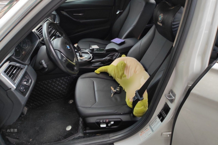 BMW 3 Series 2017 car image #17