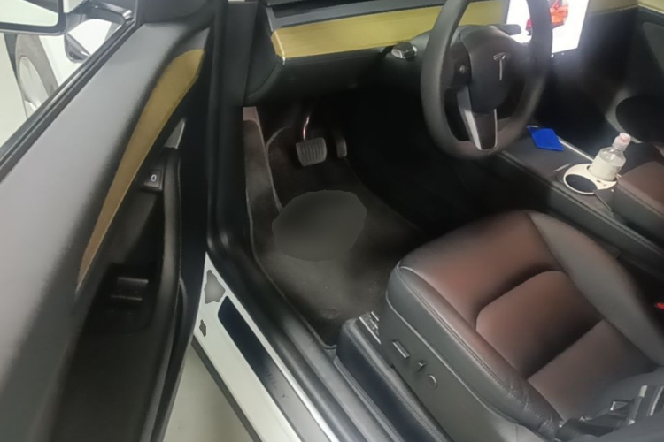 Tesla Model Y 2023 car image #12