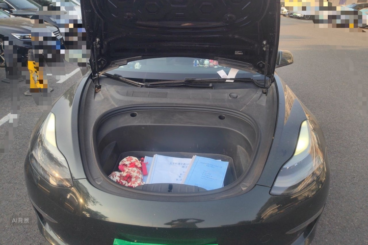Tesla Model 3 2021 #22 Tesla Model 3 2021 car image #22