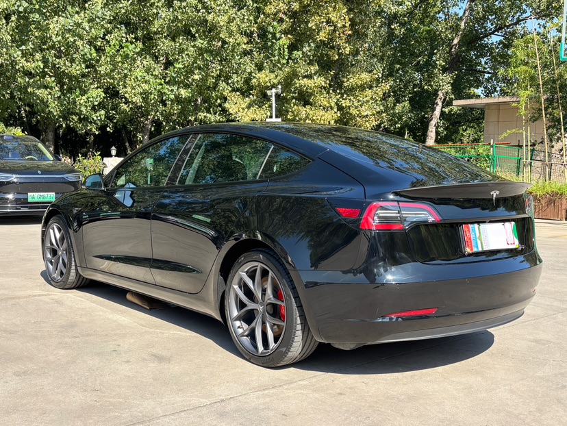 Tesla Model 3 2022 #7 Tesla Model 3 2022 car image #7