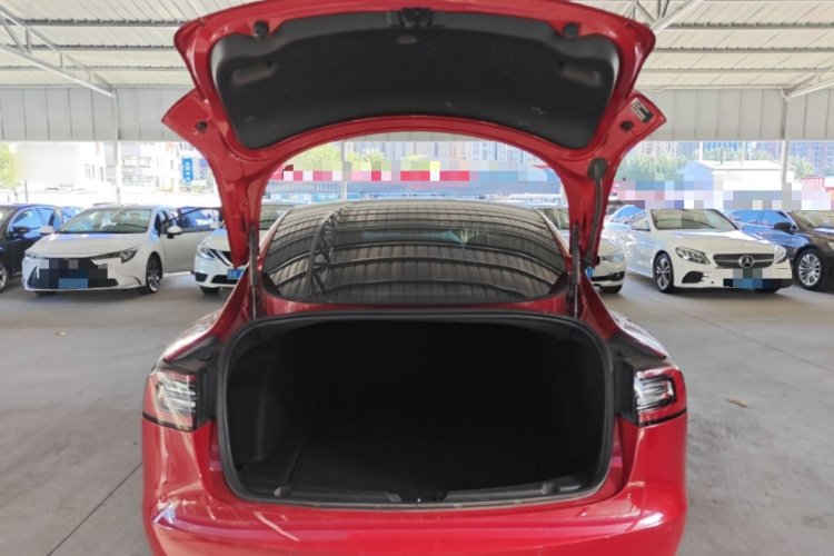 Tesla Model 3 2020 car image #19