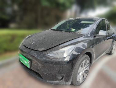 Tesla Model Y 2022 Tesla Model Y 2022 car image