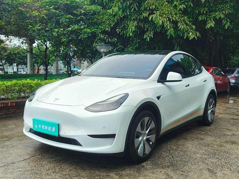 Tesla Model Y 2022 Tesla Model Y 2022 immagine di auto