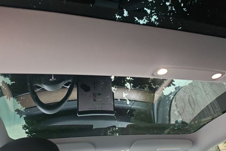 Tesla Model 3 2021 car image #18