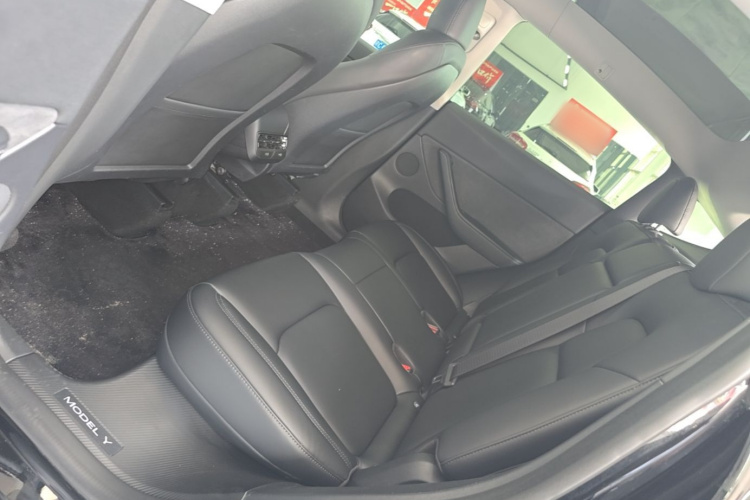 Tesla Model Y 2023 car image #17