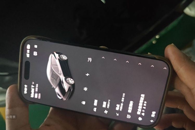 Tesla Model Y 2022 car image #10