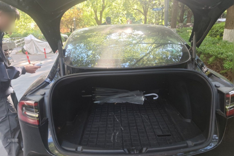 Tesla Model 3 2021 #21 Tesla Model 3 2021 car image #21