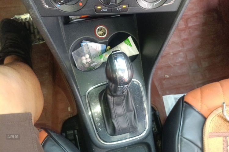 Volkswagen Polo 2016 car image #16