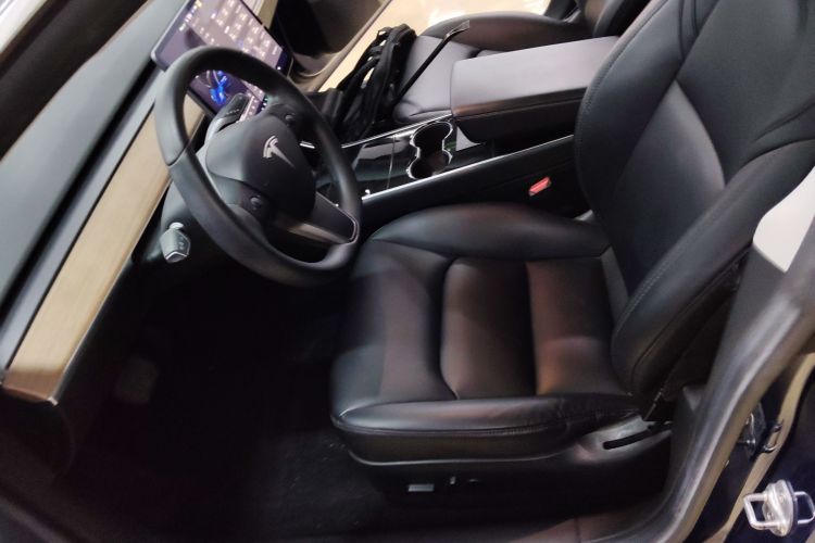 Tesla Model 3 2020 car image #15