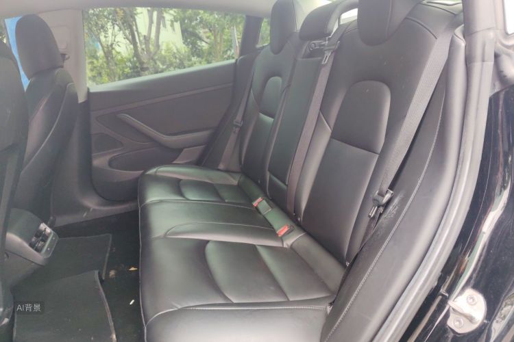 Tesla Model 3 2020 car image #19