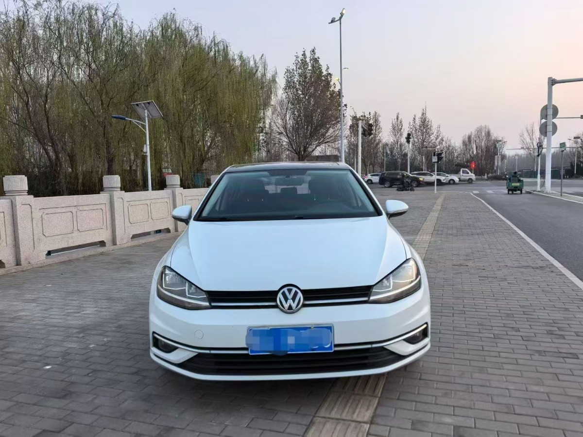 Volkswagen Golf 2019 #2 Volkswagen Golf 2019 car image #2