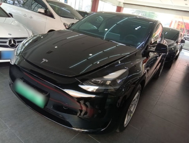 Tesla Model Y 2023 Tesla Model Y 2023 car image