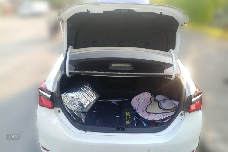 Toyota Corolla 2017 car image #21
