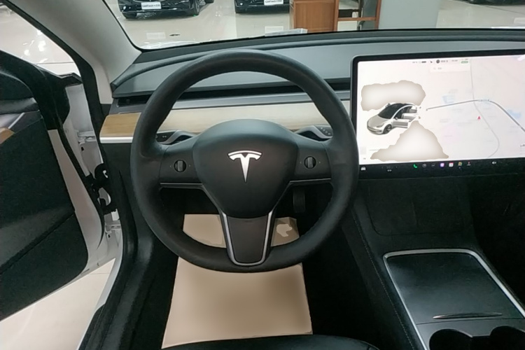Tesla Model 3 2021 car image #15