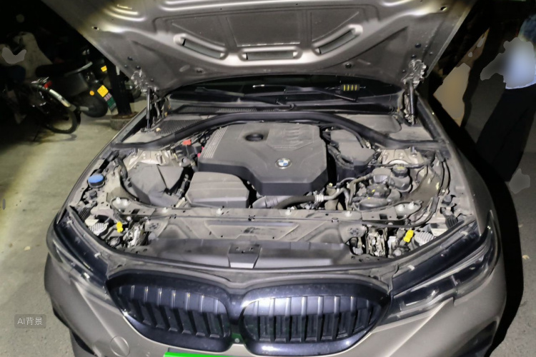 BMW 3 Series 2020 car image #22